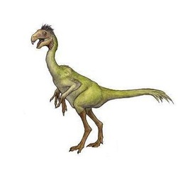 中国猎龙你了解吗?看看这些再说话