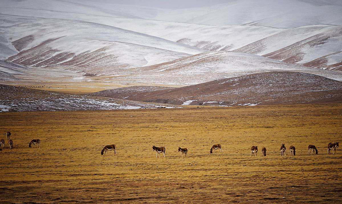 中国最可怕的无人禁区,堪称地球的"第三极",千百年来无人居住