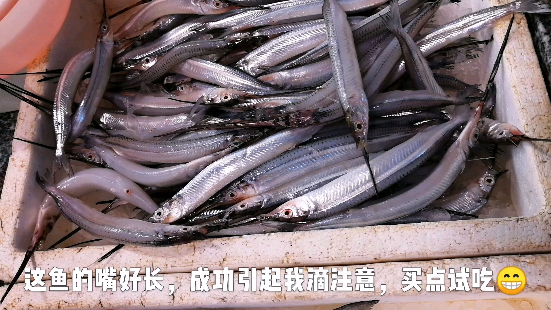 这鱼的嘴巴好长,买一点做潮汕的豆酱焖海鱼