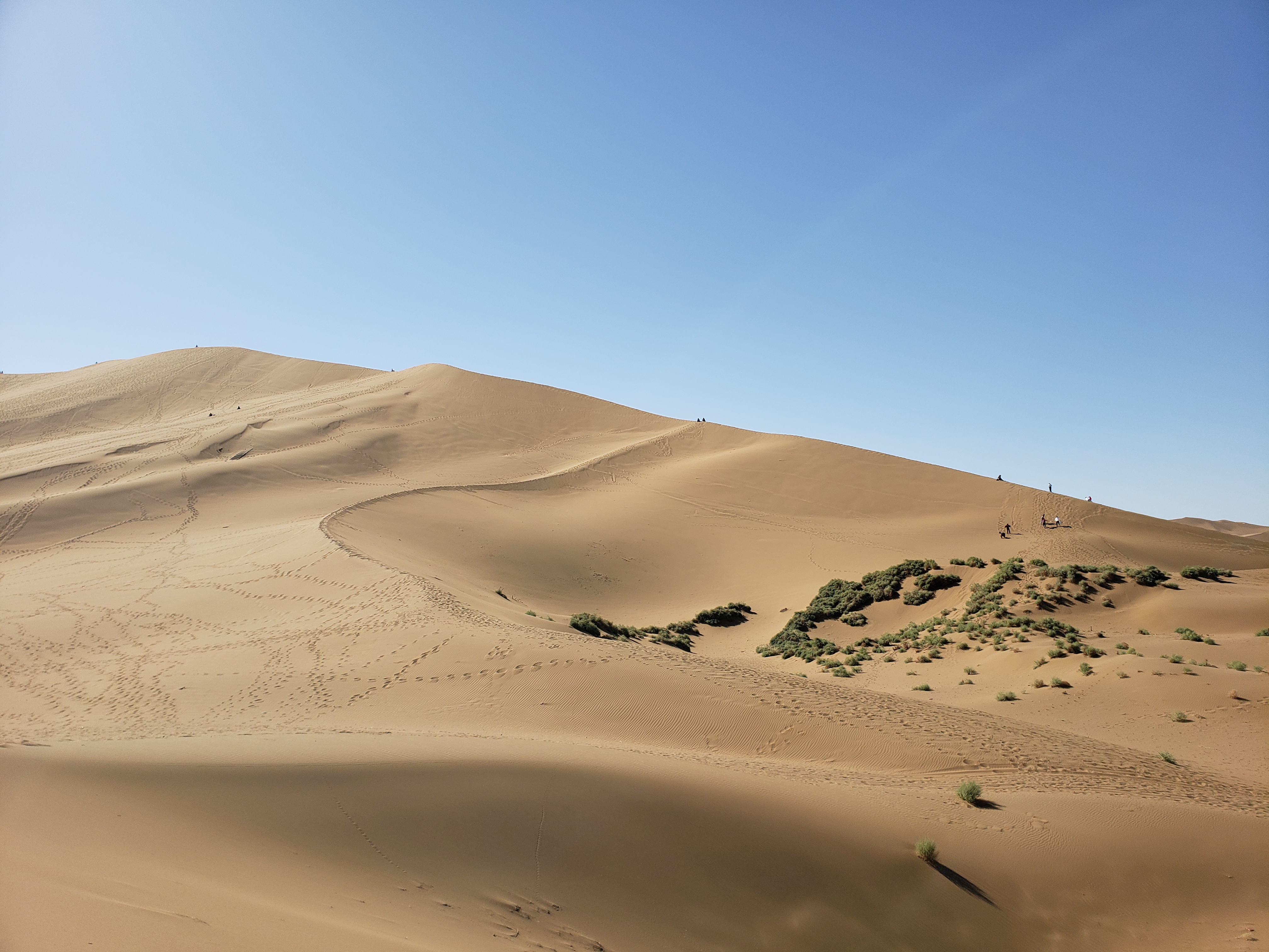 世界上少有的与城市"零距离"接触的沙漠
