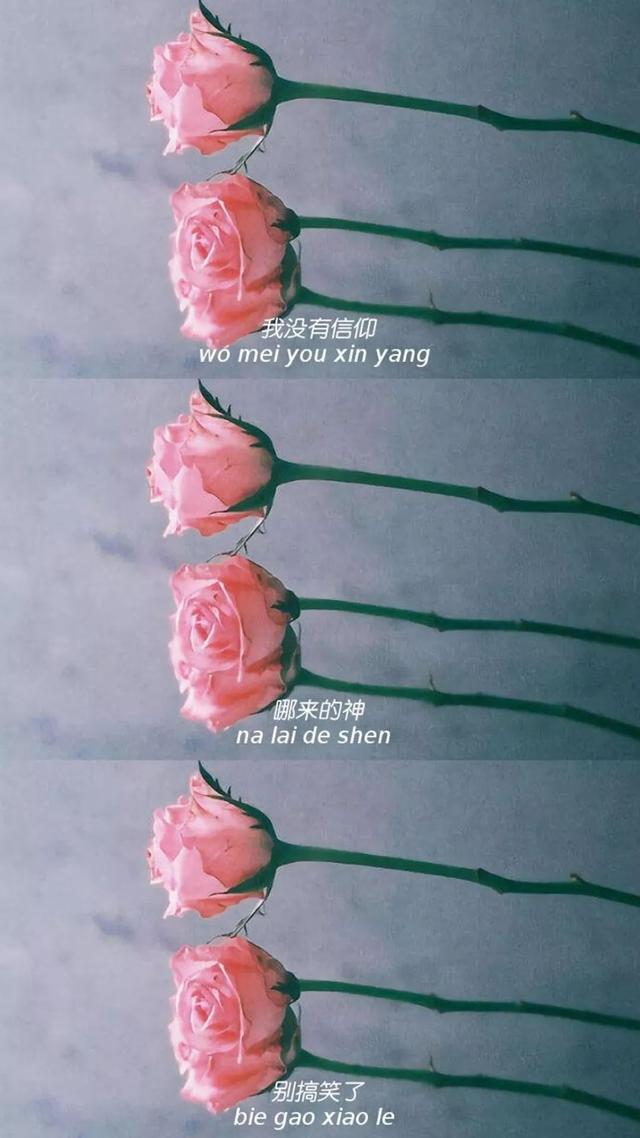 抖音上很火的三连壁纸