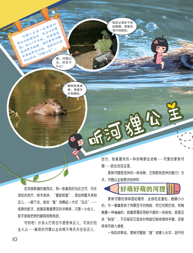 听河狸公主讲河狸的故事