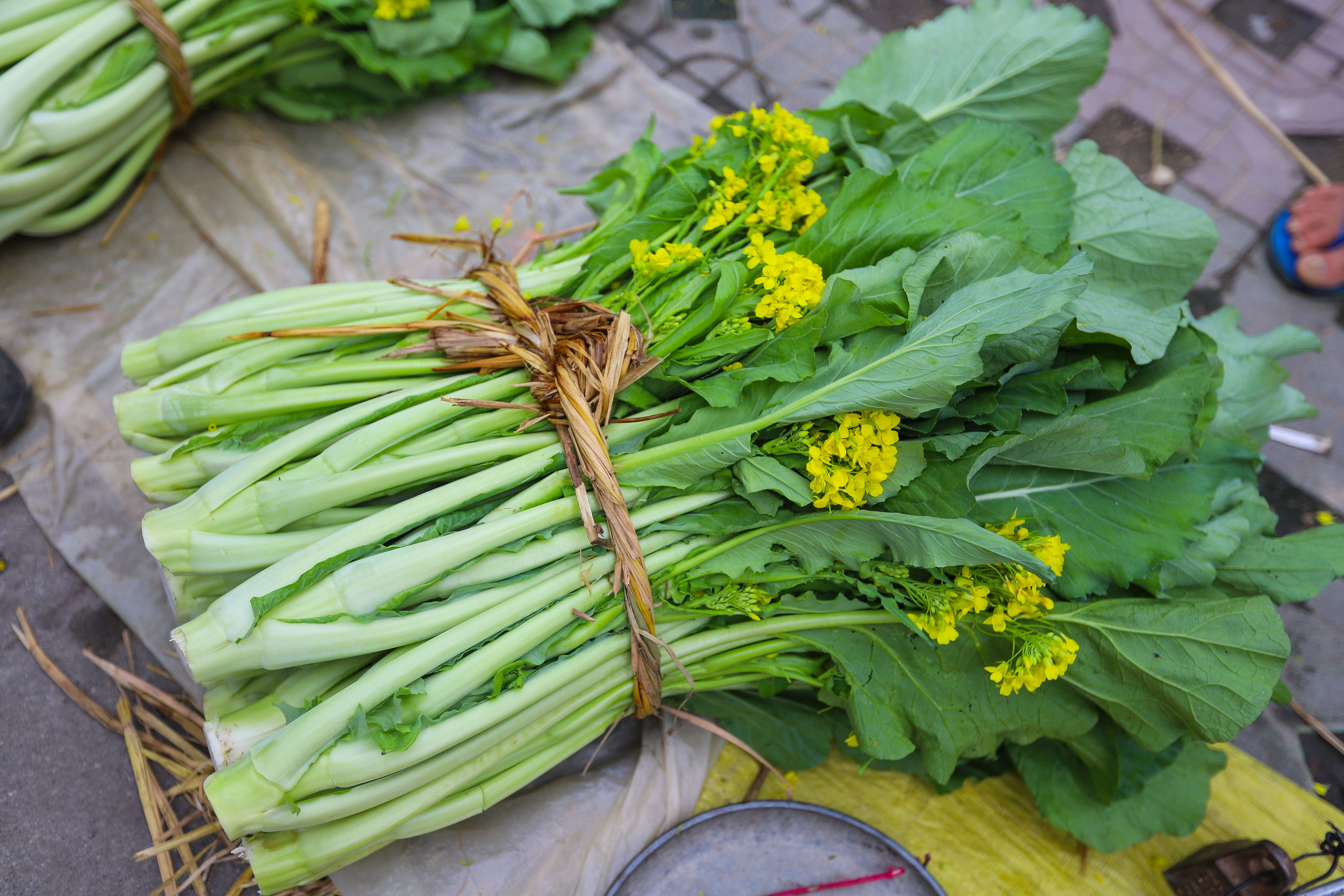 增城迟菜心整株都可以做菜,花样多变,轻松