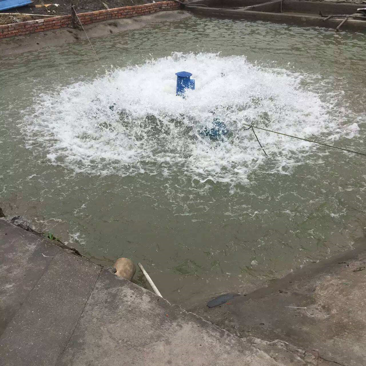 養魚池養魚養魚池養魚池