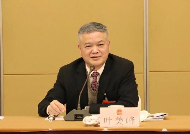 常山县县委书记叶美峰参加代表团审议:持续发力唱响"强发展"主旋律