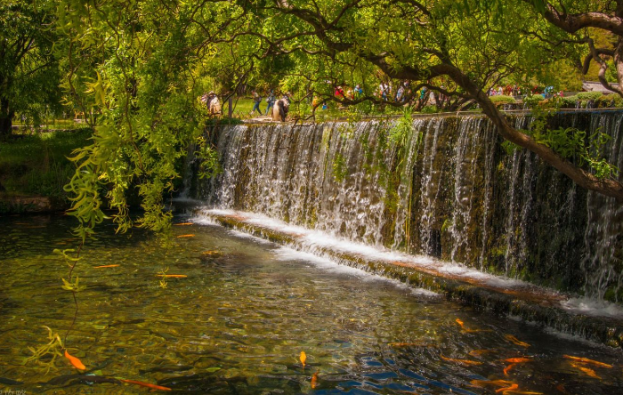 最美丽江:观看神龙三叠水的奇景,游览东巴圣地的纳西族的文化!