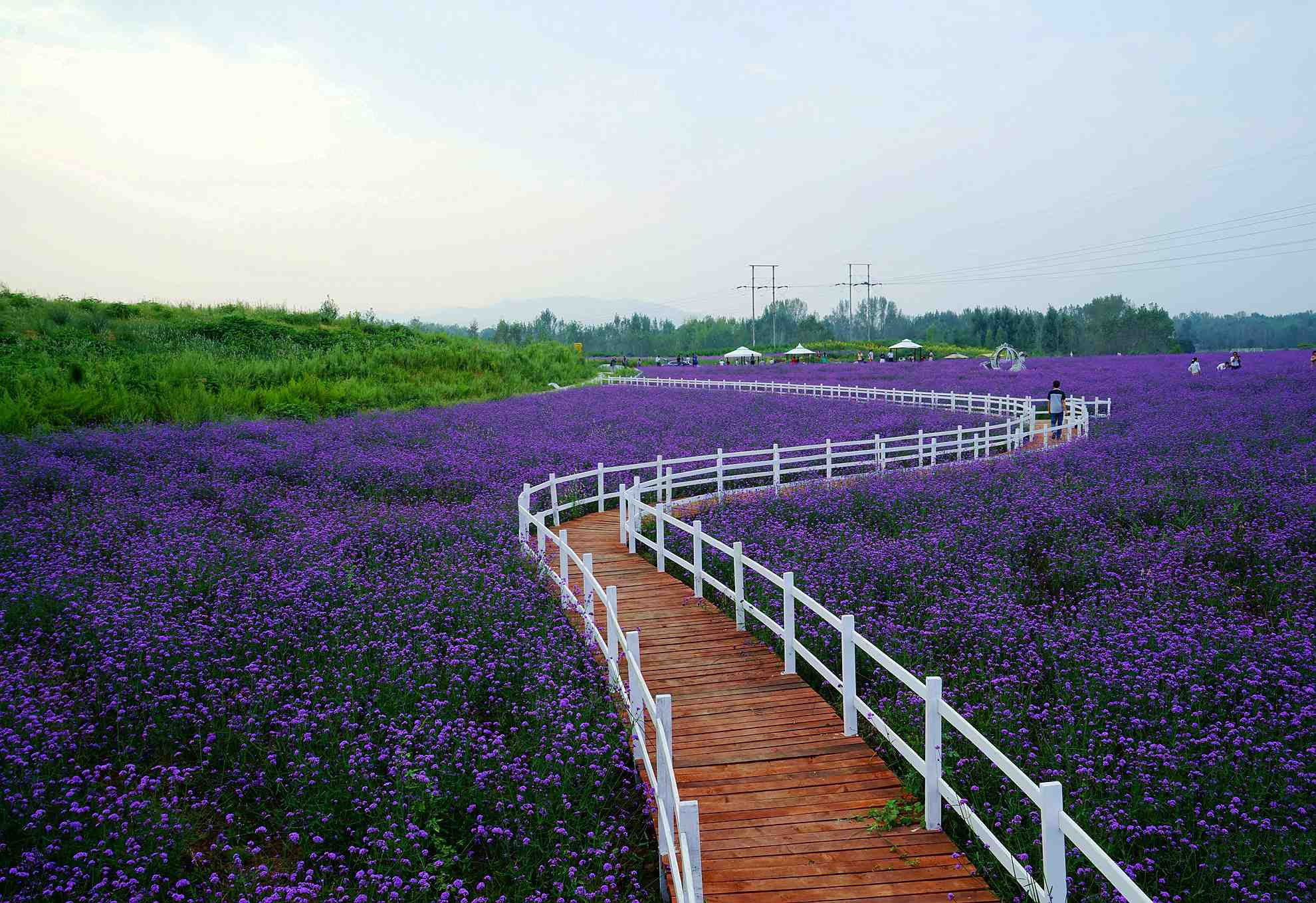 多亏南阳一座山救他,虽贵为天子,可没登基之前,被对手四处围追