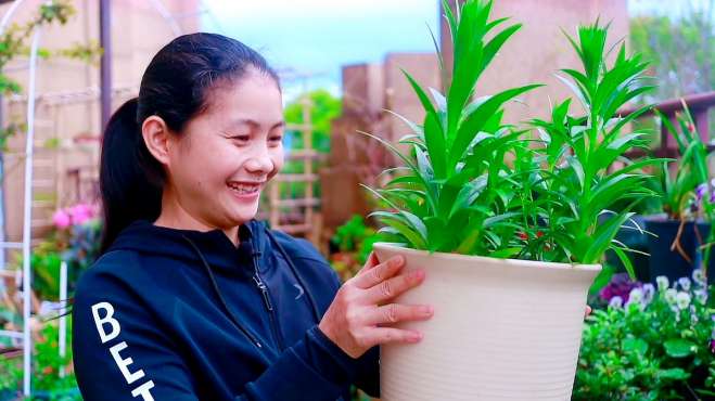 [图]春雨过后，带你逛逛我的花园，享受踏青的喜悦！