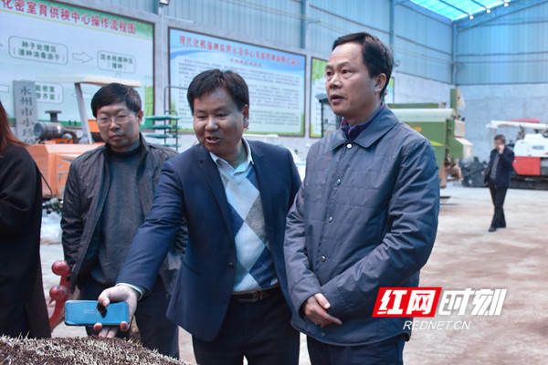 谢景林赴冷水滩区调研春耕备耕等工作