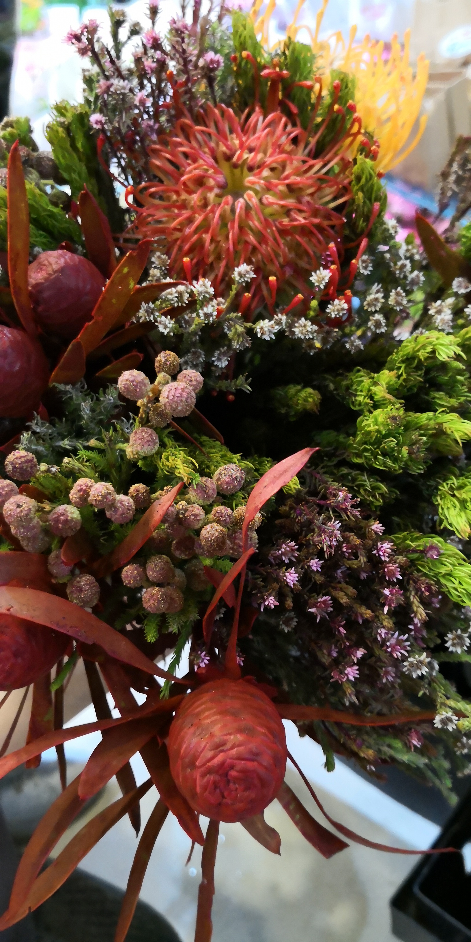 美炸了_南非进口花材