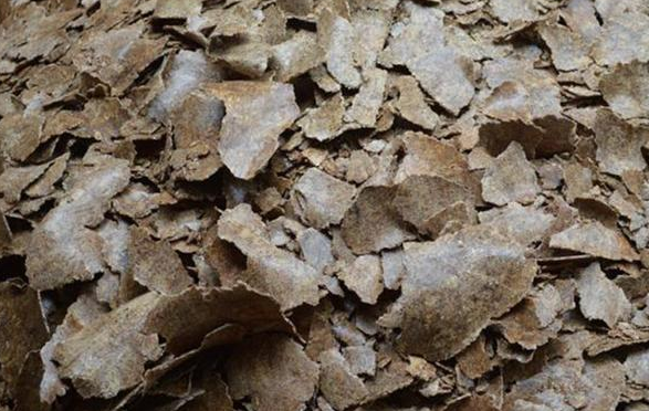 自制花生枯钓鱼窝料,简单方便效果好