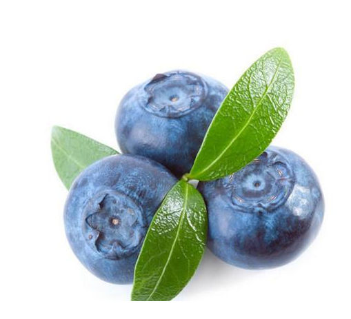 乌饭果的功效:乌饭果强肾补虚,补血益气,帮助肠胃消化的功效.