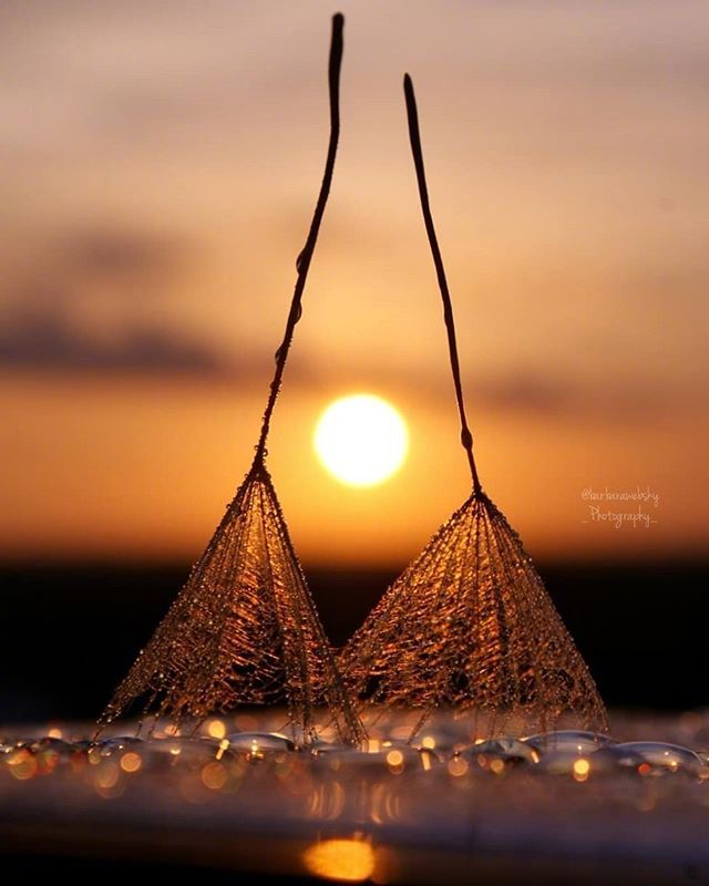 佛语禅心的小句子,句句看破人间百态,读懂了收益一生!