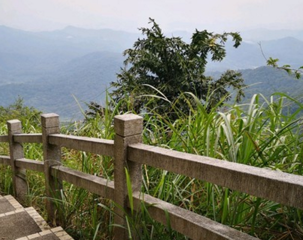旅游:帽峰山森林公园——空气清新,风景秀美,休闲度假的好去处