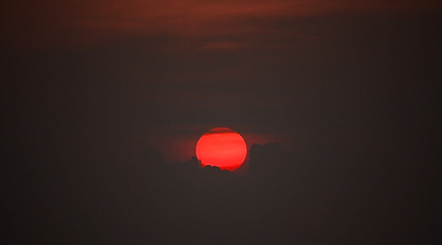 会卖家电的TCL格力创维九阳等厂商们,为何搞不好用户服务?-家电圈官网