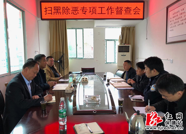 保靖县开展扫黑除恶专项斗争督查活动
