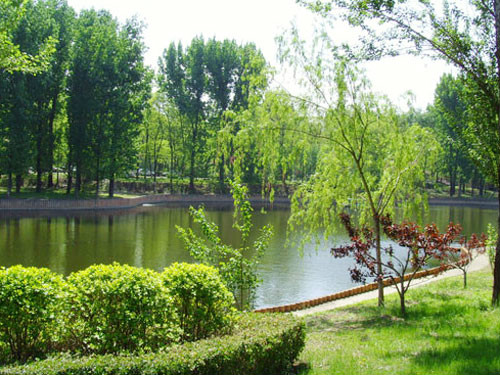 除了景色非常好的京都第一瀑,森鑫森林公园,北京市还有更多值得一去的