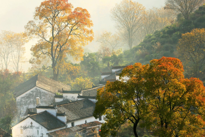 旅游之江西篇:欣赏一组婺源严田村的图片