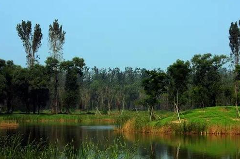 北京3大特色溼地公園大推薦,旅遊的話可以走一遭!