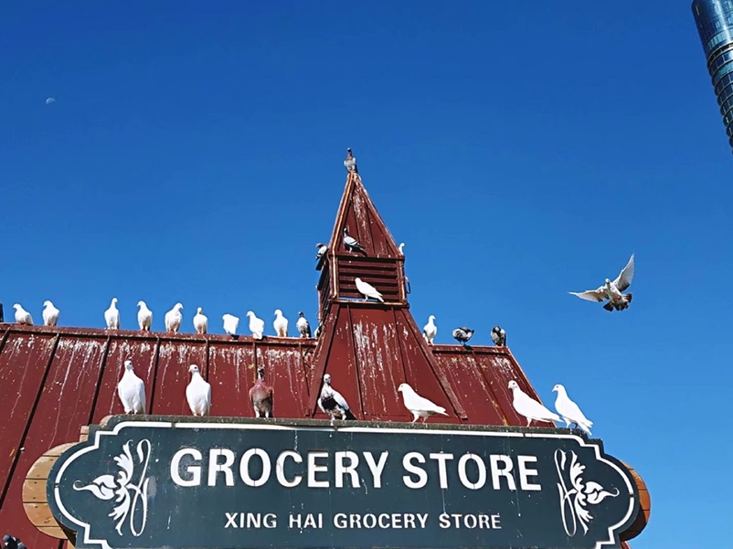 grocery store,猜猜这是什么意思?