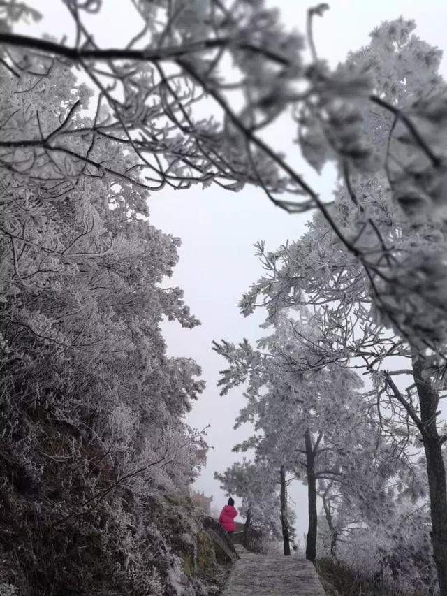 寿宁终于下雪了?仙岩山还开启了"冰雪奇缘"仙境模式!