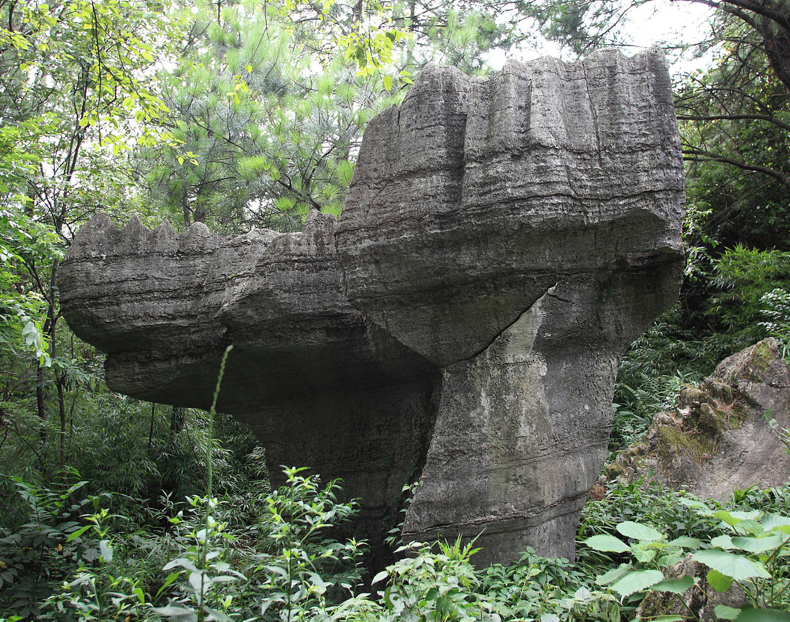 方柱石角岩图片