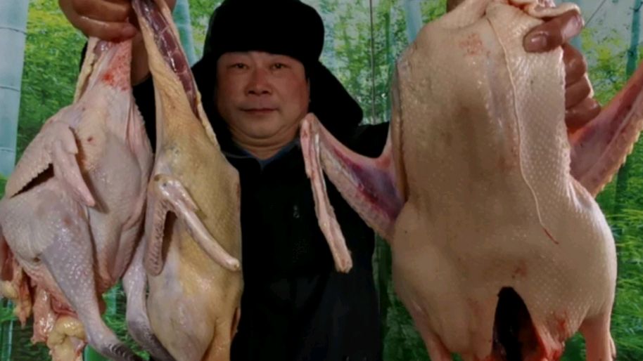 329元买3只老龄鸡鸭鹅,铁锅一起炖煮,每人一只抱着啃,太费酒了
