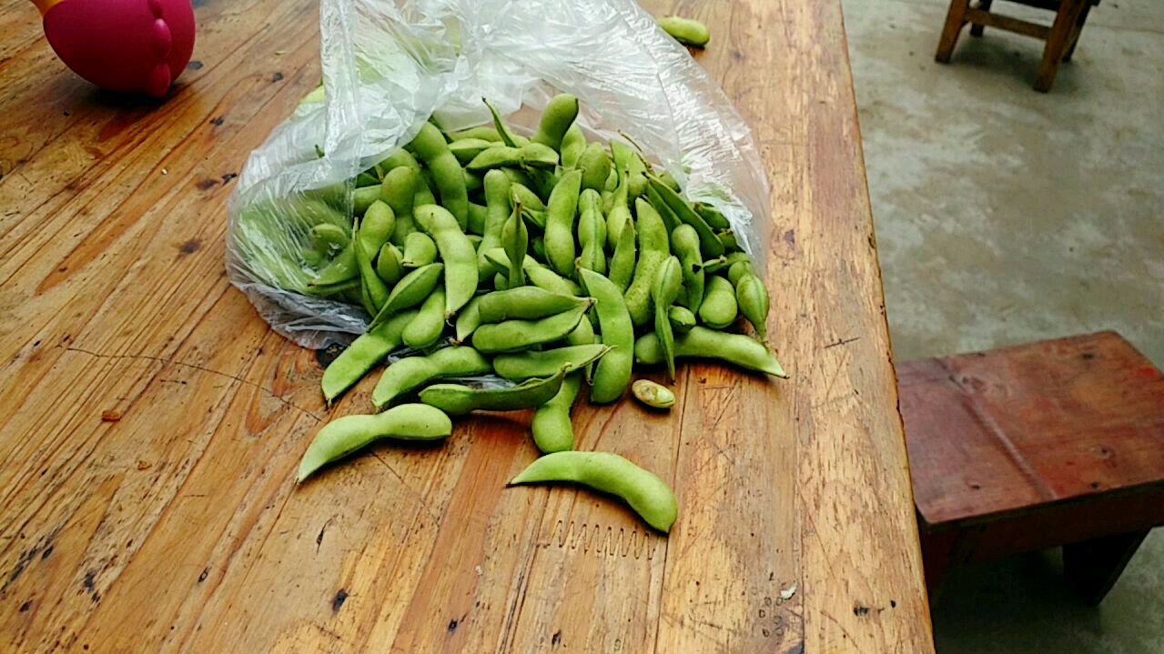 夏季最受欢迎的菜之一 这样做的青椒肉丝毛豆米 清爽可口