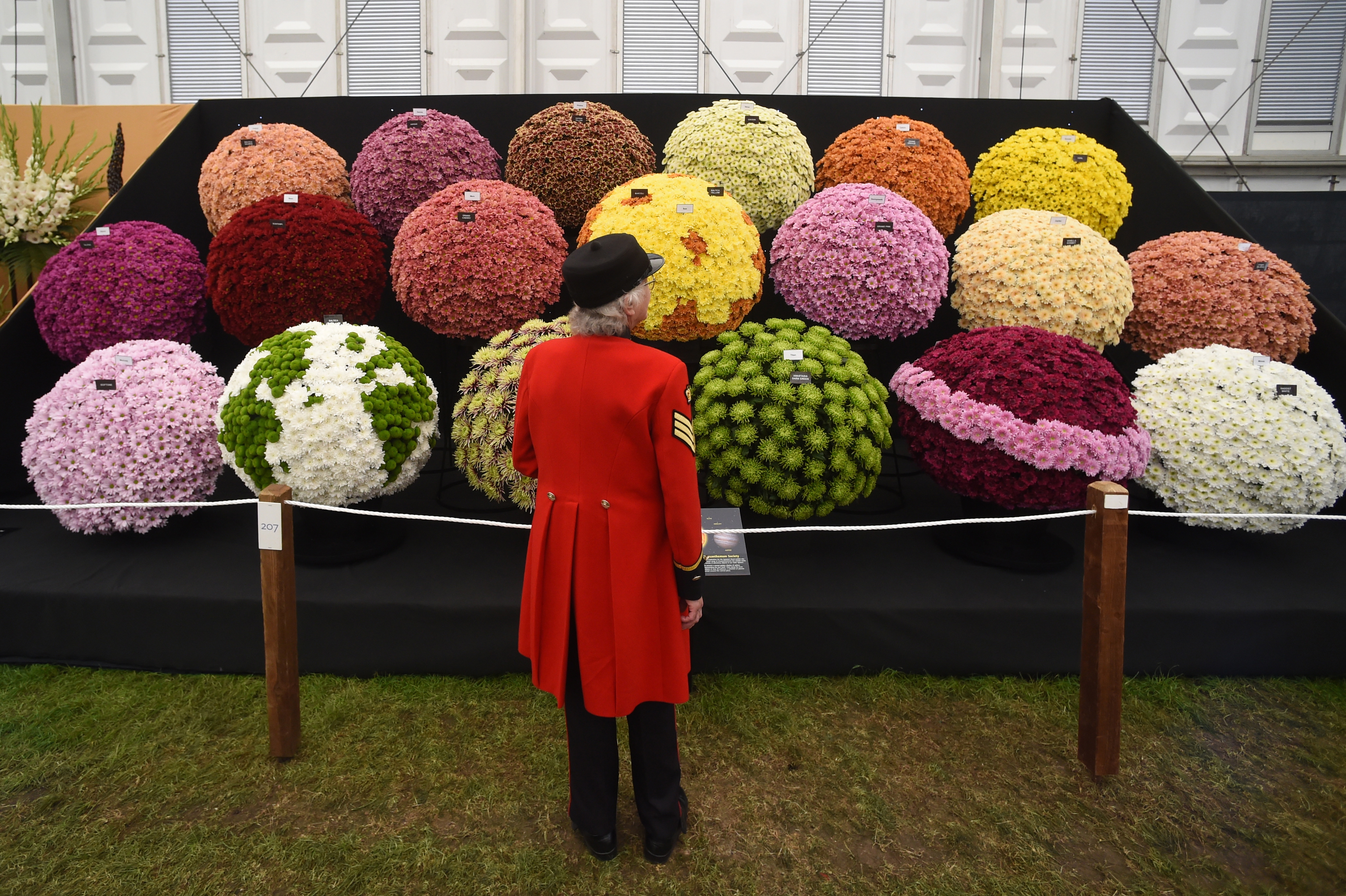 切尔西花展即将开幕(45)