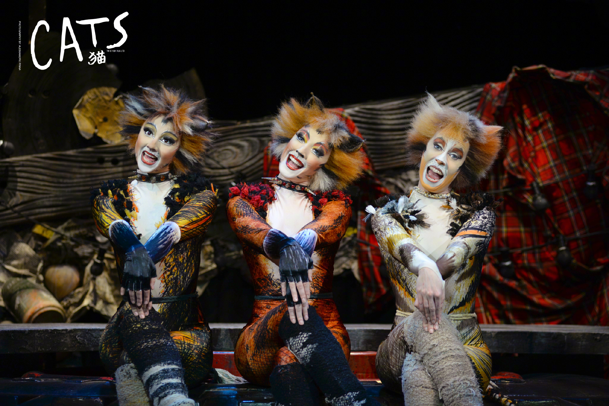 世界四大音乐剧之一《猫》8月首登石家庄!原版歌舞剧24日起开票