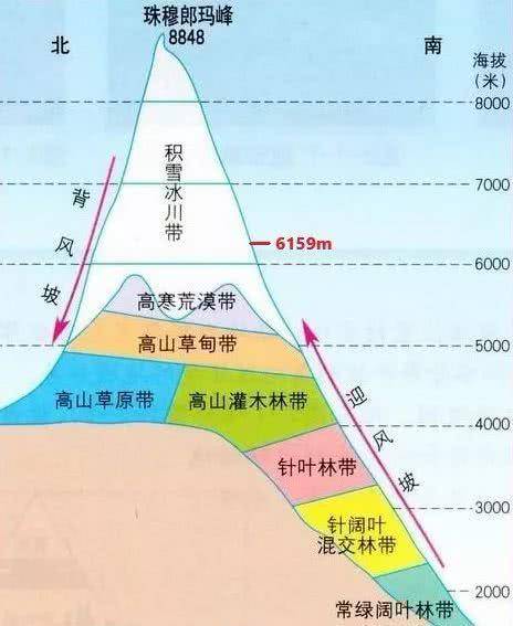 珠峰海拔6159米长出了绿色植被,这不是春天来了,而是狼来了!