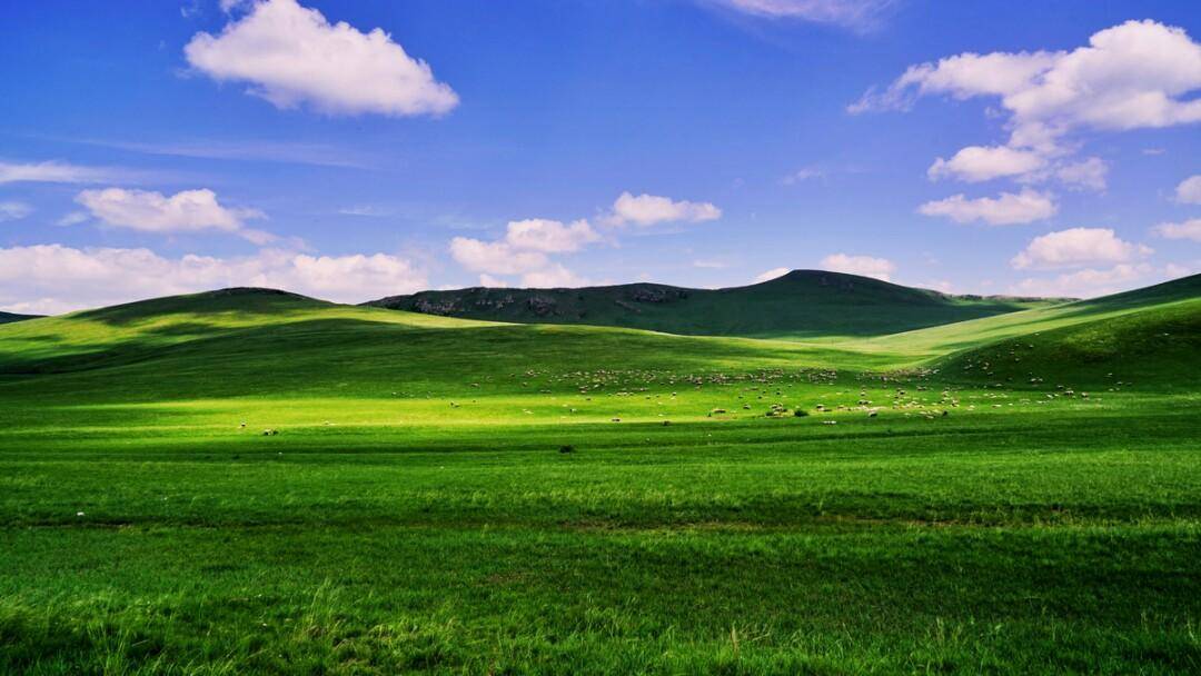 内蒙古的大草原,一起欣赏天地之间的美景,驰骋在草原