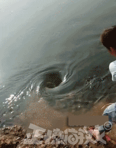 正惊gif:小姐姐的清纯微笑,女主播的好身材竟然是这么来的?