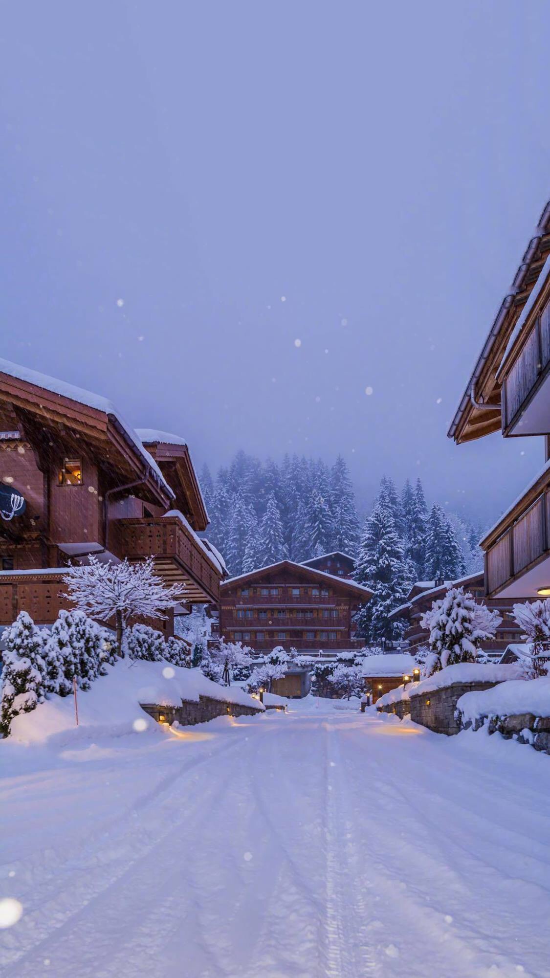 高清手机壁纸丨唯美风景夜景丨情感撩心短句