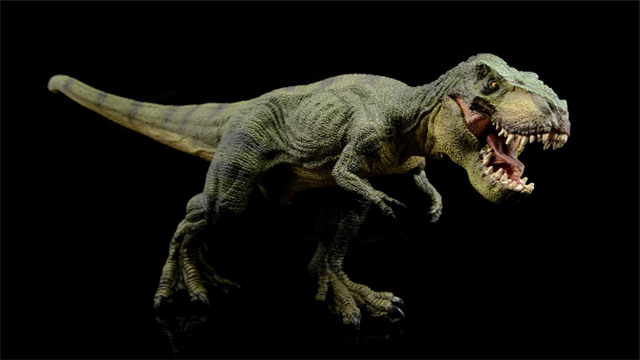世界上最大的食肉恐龙图片