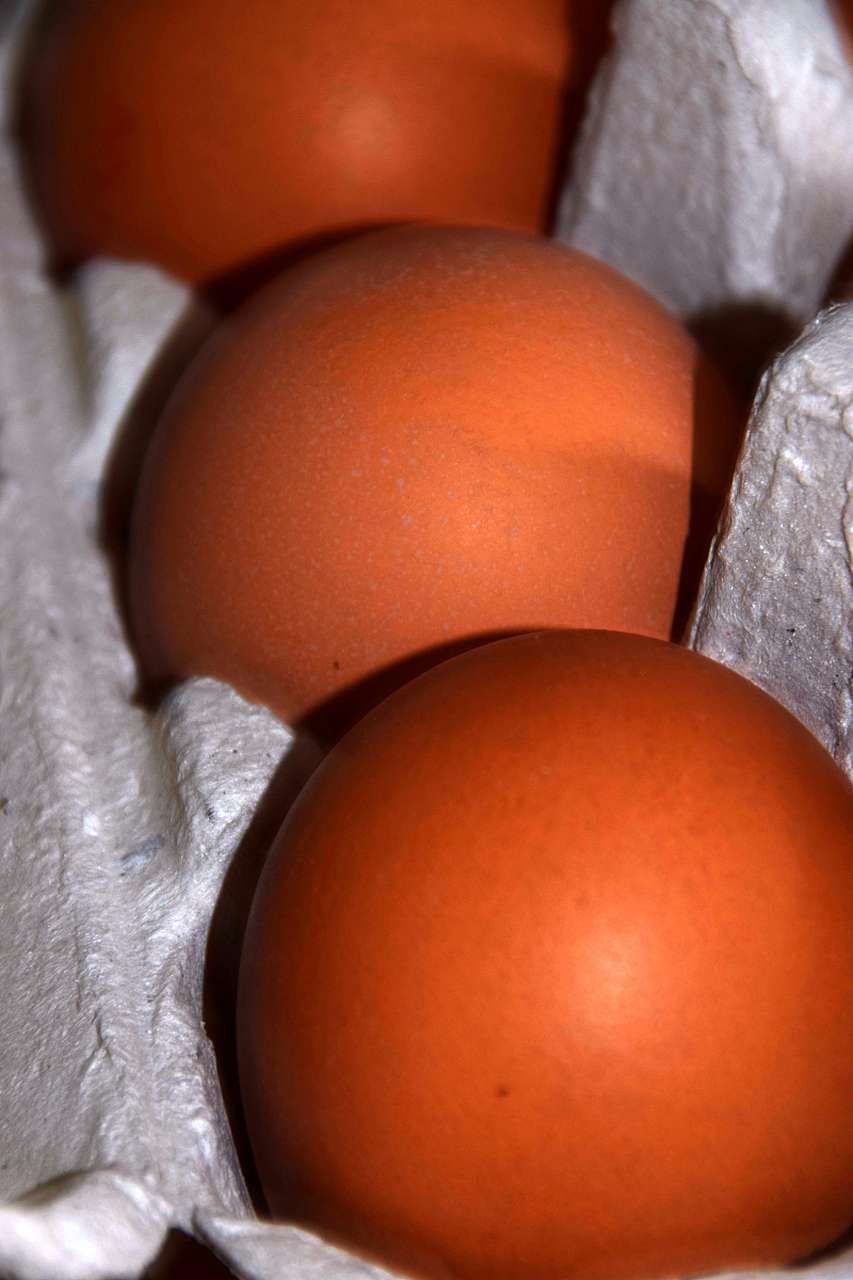 苏丹红鸡蛋吃了有什么危害  78从医院医疗行业的健康管理师和营养