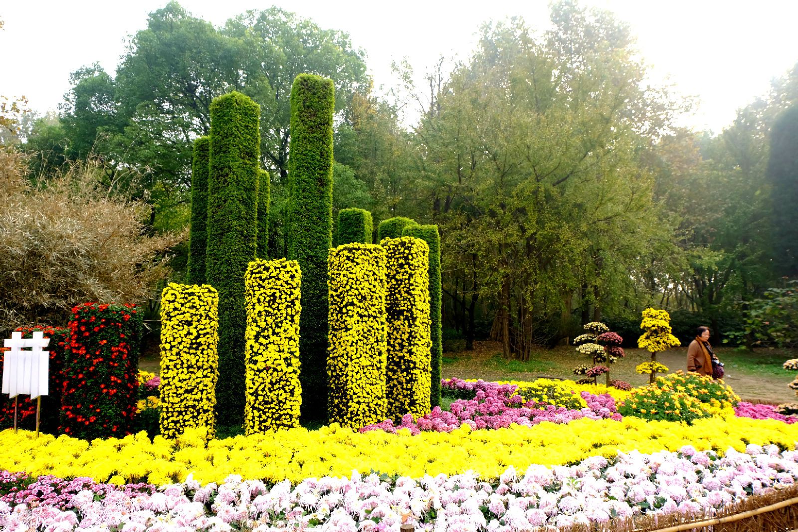 细数树木葱茏的旅游景点,日照五莲山风景区,上海市共青森林公园自然也