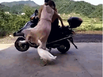 搞笑gif:省钱又暖心的生日创意蛋糕,你女友会买单吗?