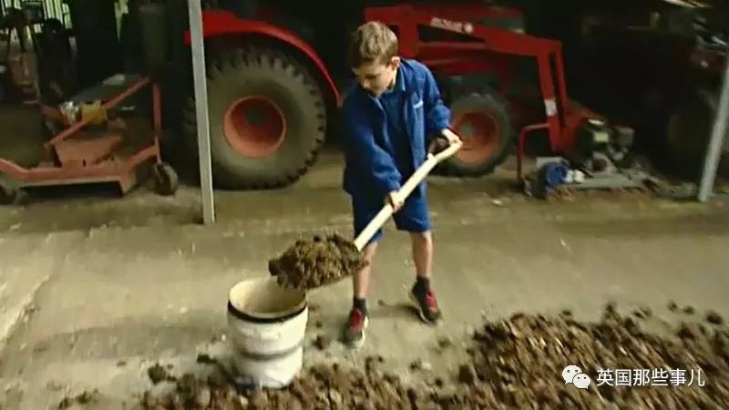 小男孩努力铲马粪攒钱买电脑…没想到居然连屎都有人偷