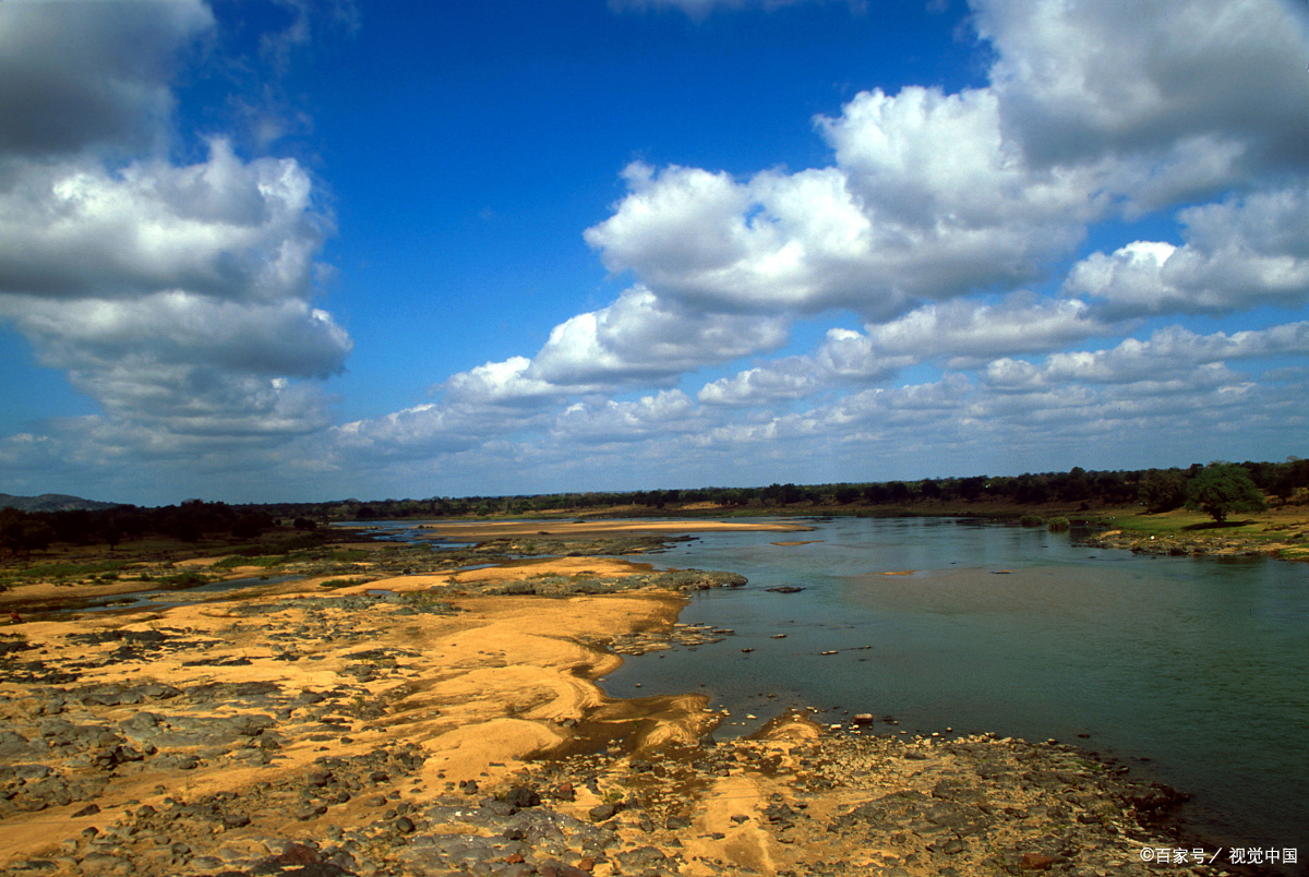 津巴布韦万基国家公园:百只大象因干旱缺水死亡
