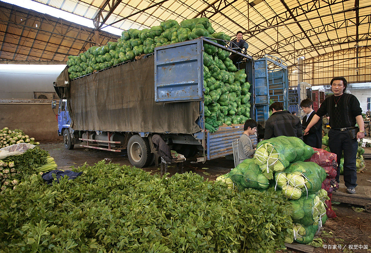 西安蔬菜配送成功五步法,轻松提升业务利润