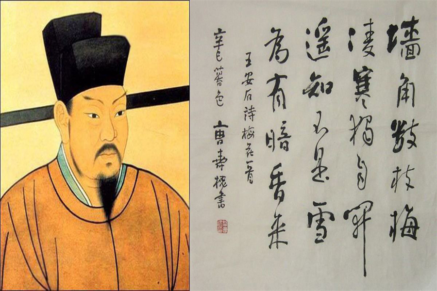 北宋出现"王安石变法"的原因是什么?里面奇葩事情可真多!