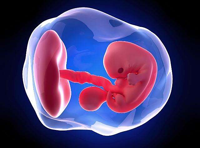 怀孕50天的孕囊,能根据b超单看出胎宝宝性别吗?