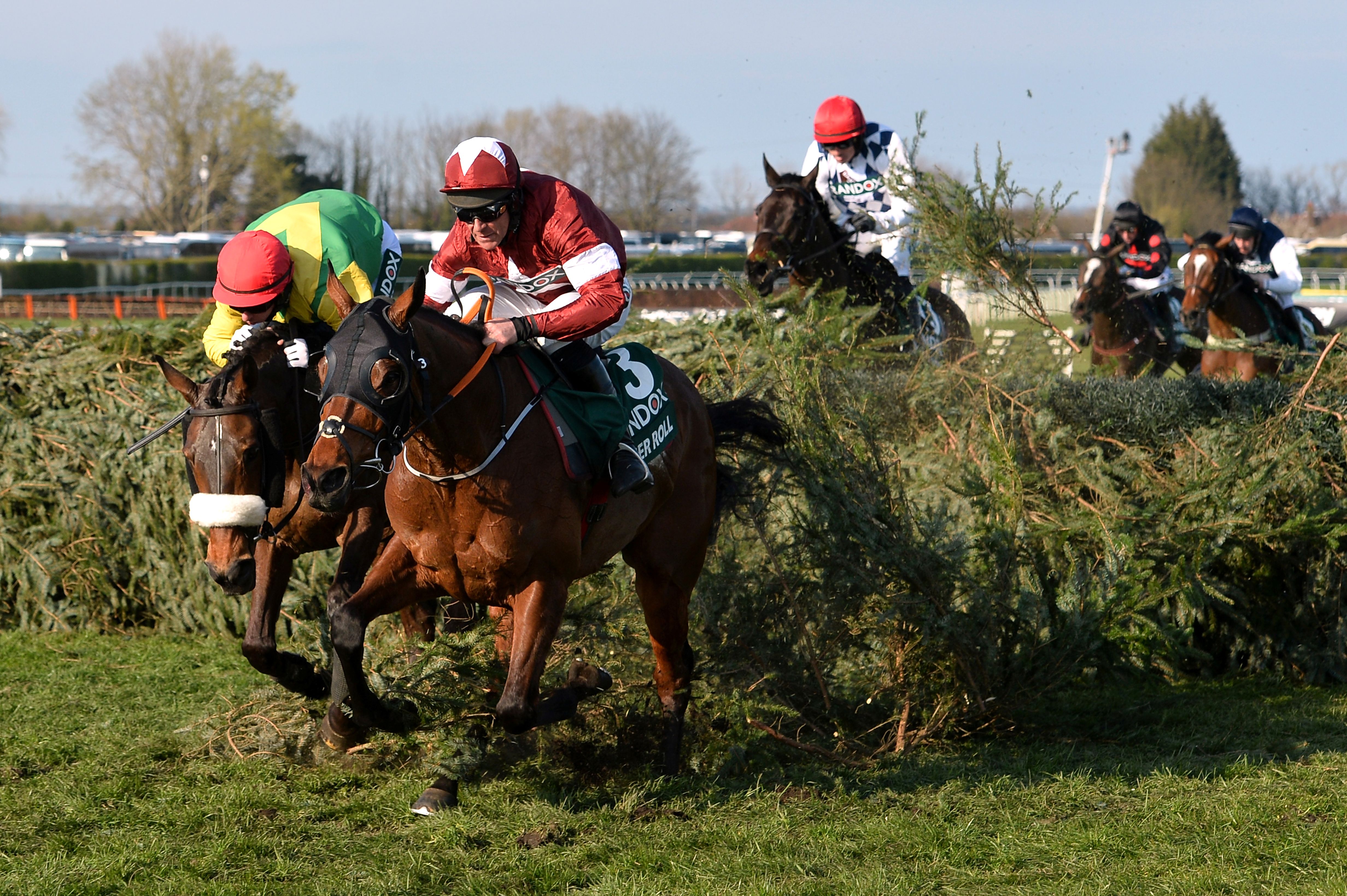 英国国家障碍赛马大赛落幕(4)