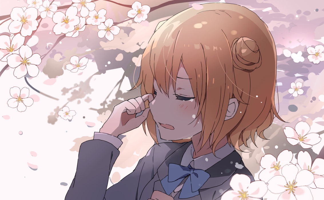 插画:樱花盛开,唯美的二次元樱花动漫美图