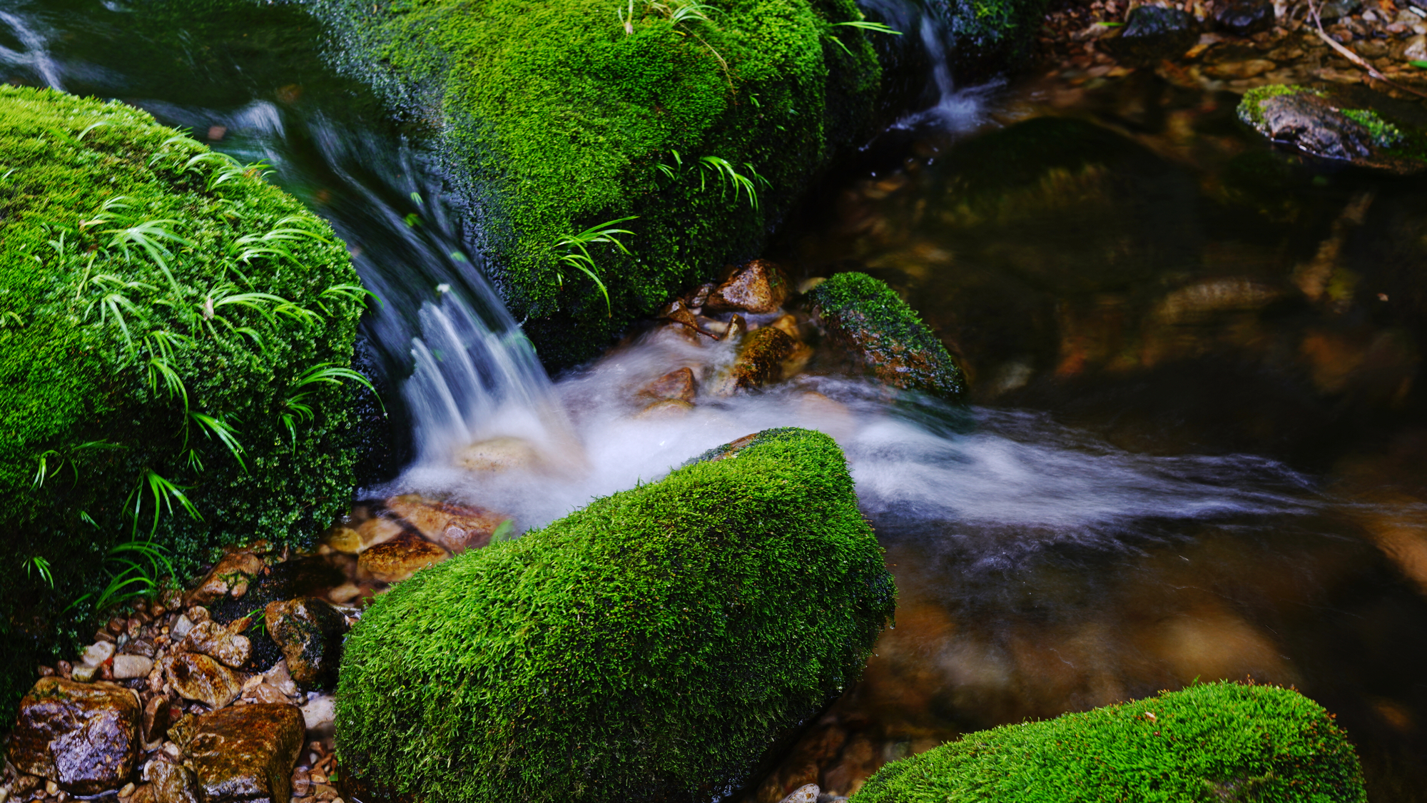 同心协力护水源 高山八队村民饮水不再难