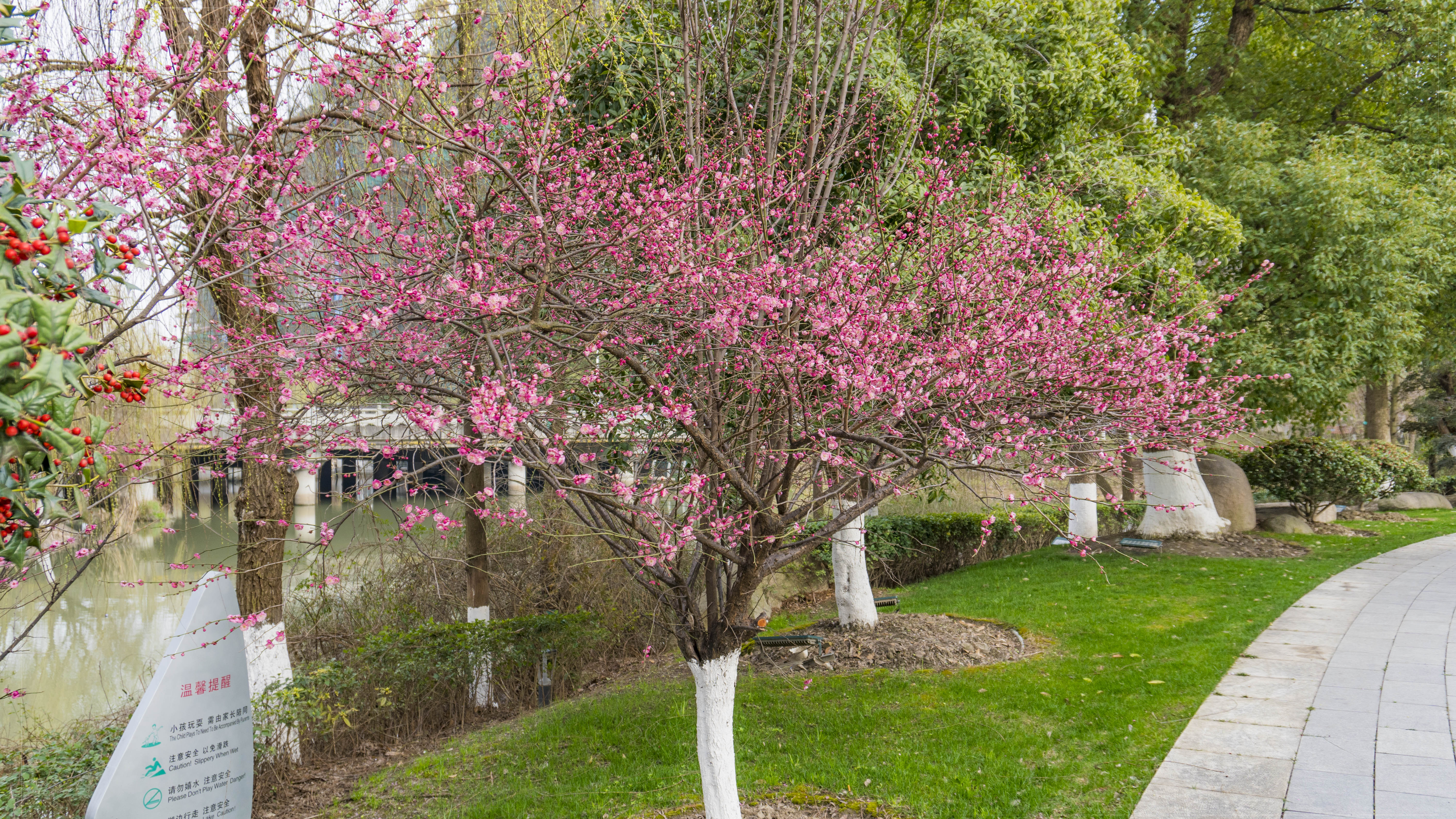 摄影爱好者的美图分享