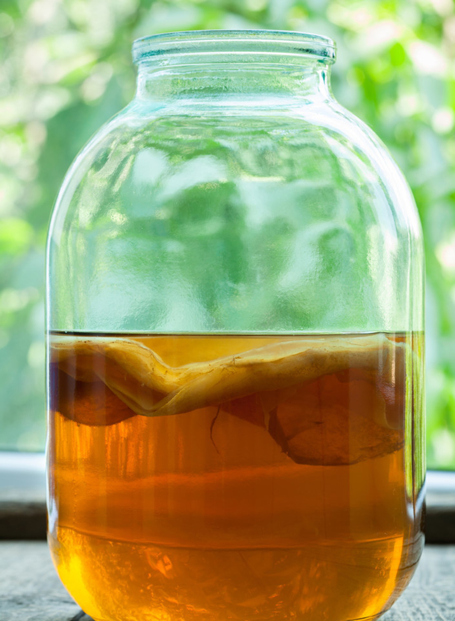 都问醋蛾子是什么?我养了20天,替你们尝了,真美