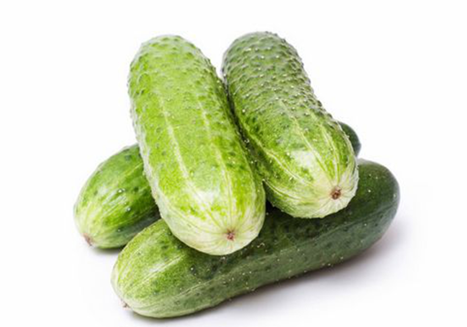 青瓜- 优质问答专区