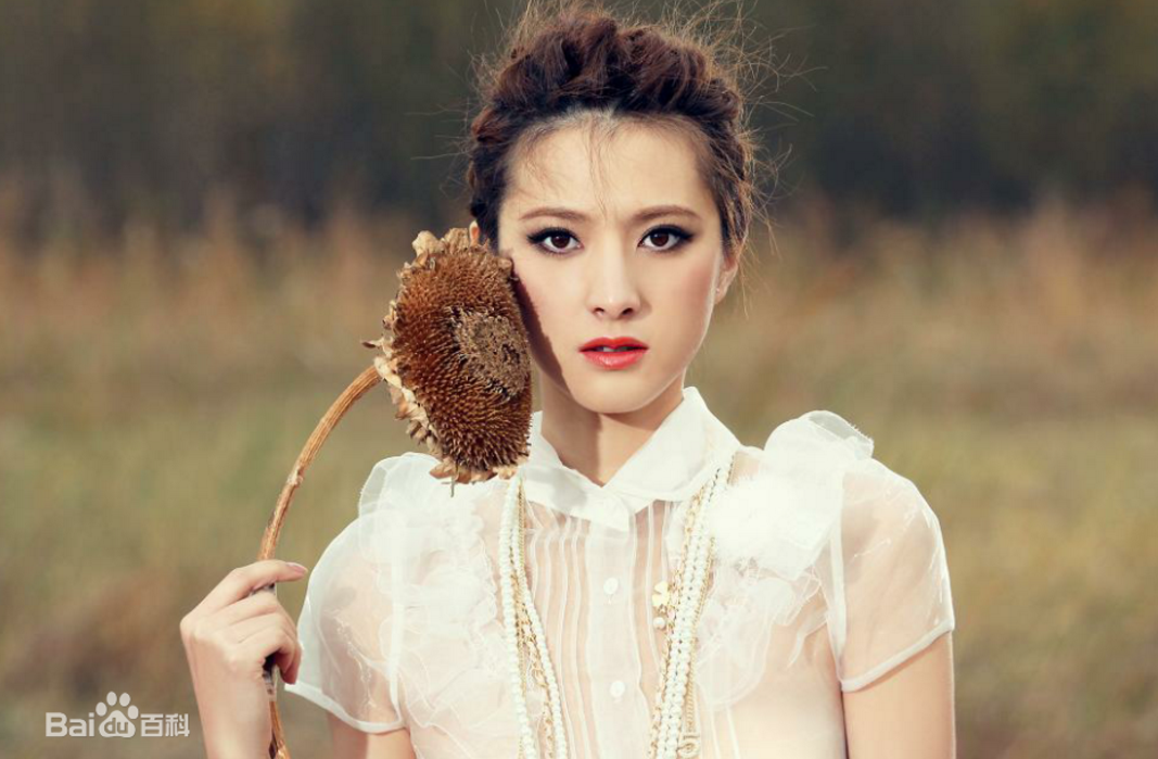 4位来自长春的美女明星